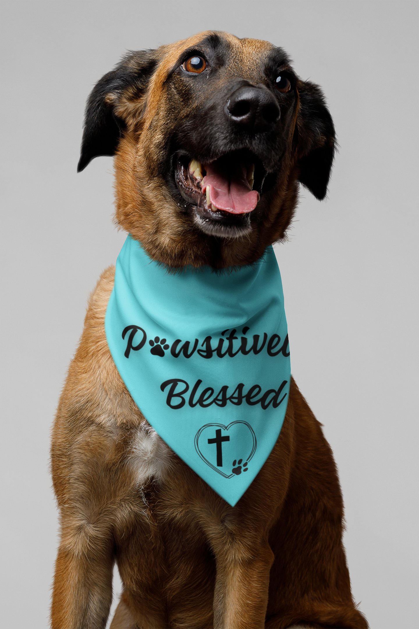 Happy brown dog wearing an aqua bandana that says Pawsitively Blessed with a pawprint for the letter A and a heart with a pawprint and cross below it, on a plain white background.