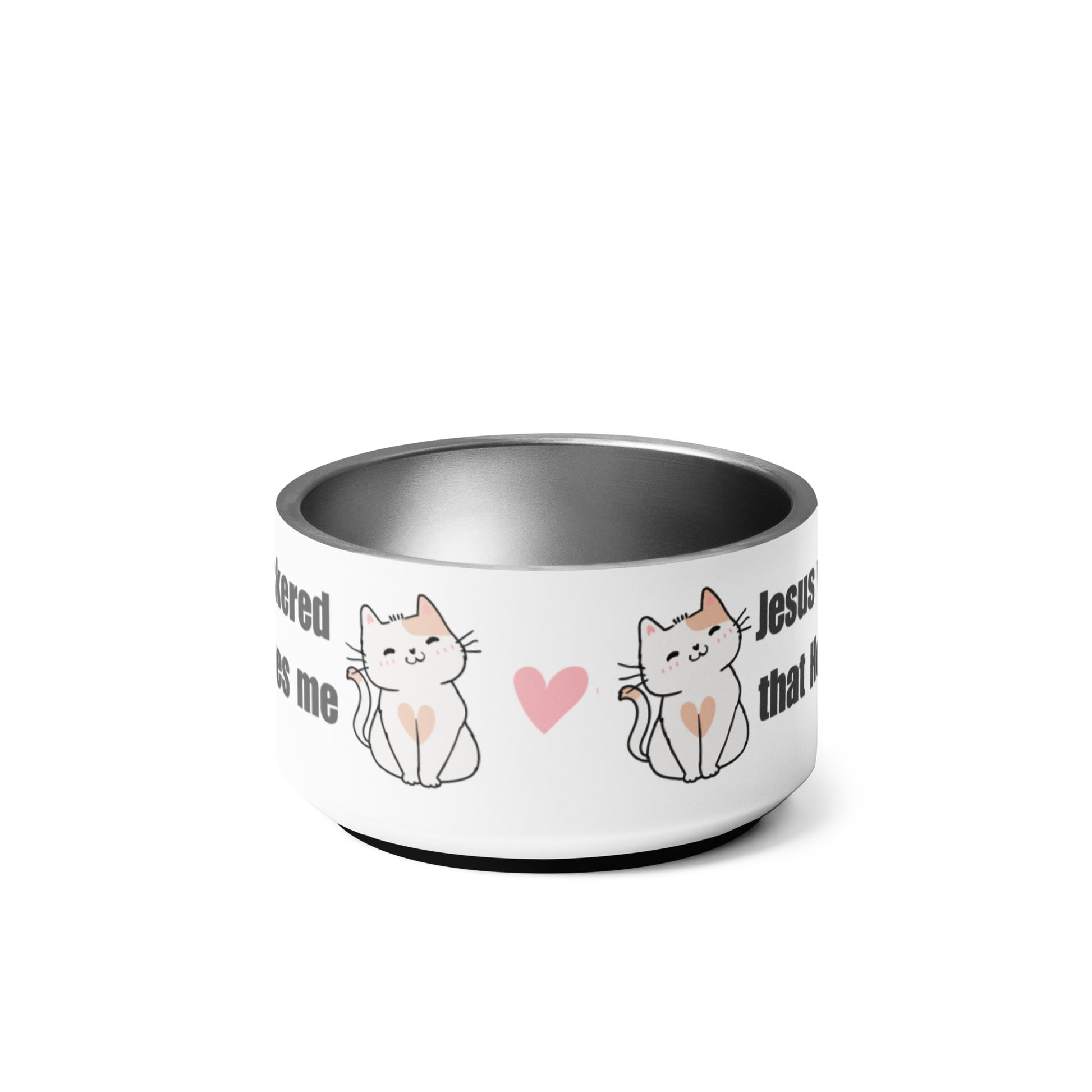Stainless steel cat bowl on a plain white background and you can see some words and two cats and a pink heart on a white background on the sides of the dish.