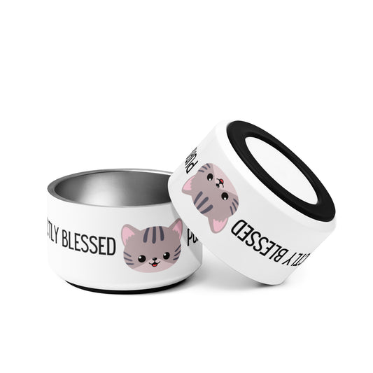 Two stainless steel cat dishes on a white background. They are the same, with a gray striped cat face and words, and you can make out part of one word and the word "Blessed" and one dish is upside down, resting tilted on the other dish.